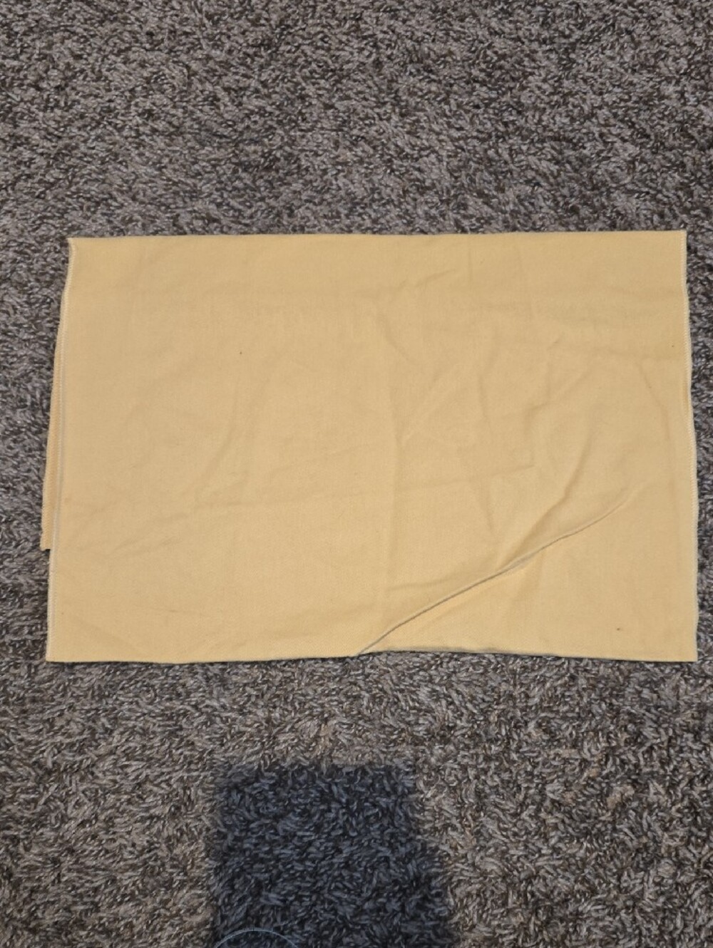 Louis Vuitton Dust Bag - Picture 2 of 4
